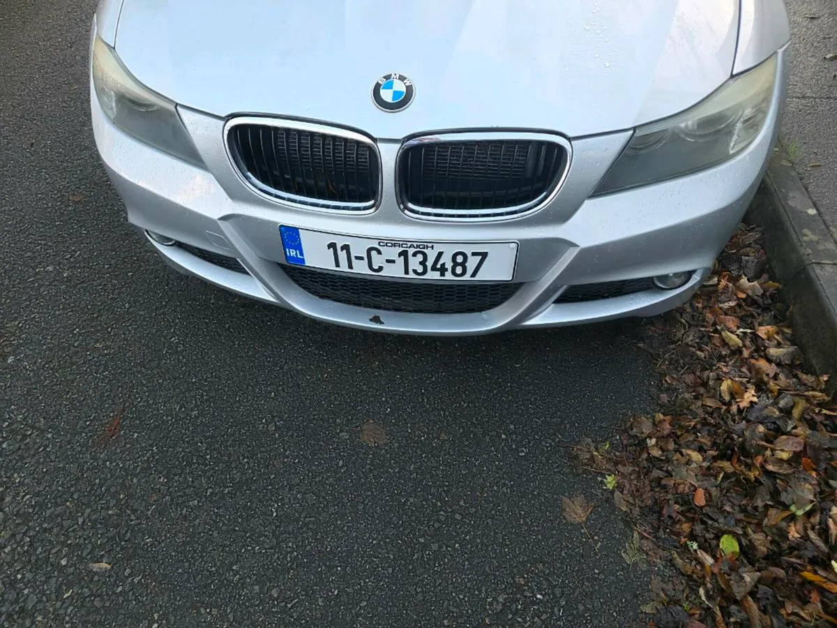 2011 BMW 320 M Sport - Image 2