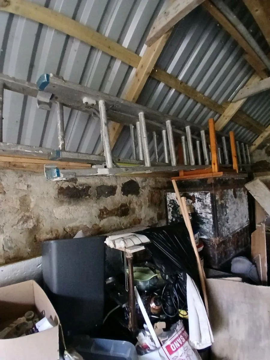 Double ladders etc - Image 1