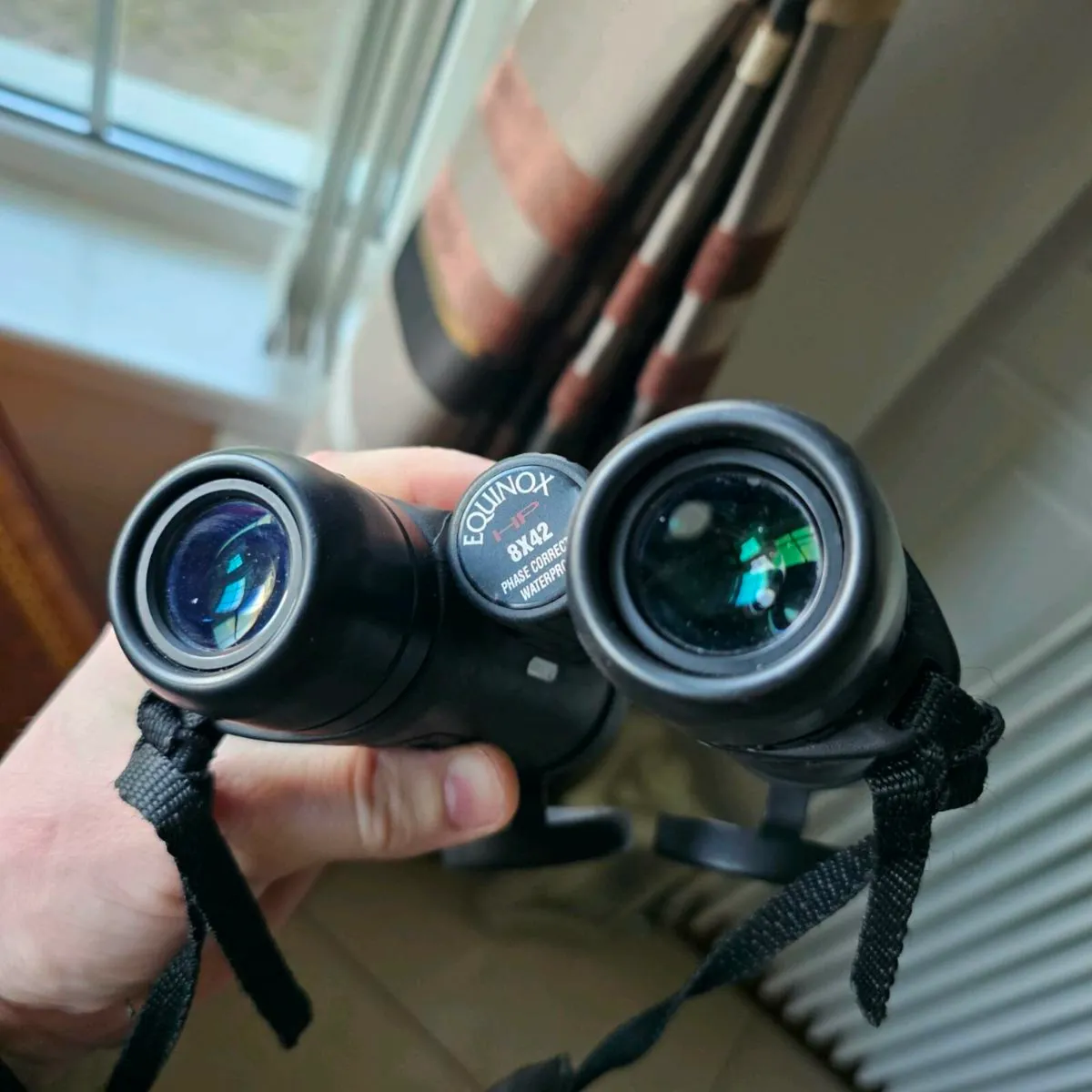 Binoculars 8 x 42 Audubon bird watching - Image 2