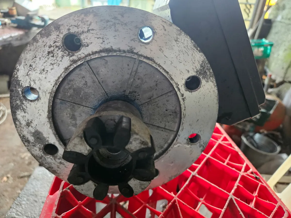 Yard clear out - Image 2