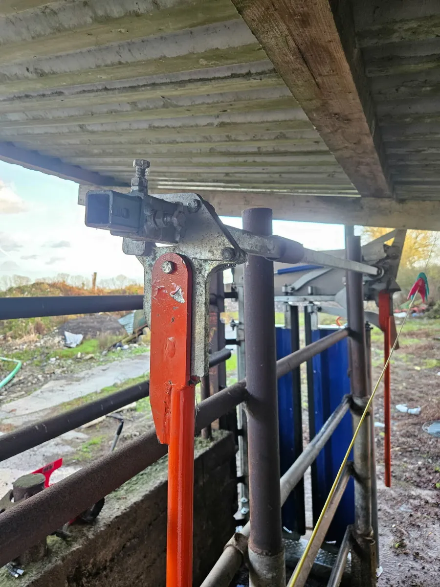 Yard clear out - Image 3