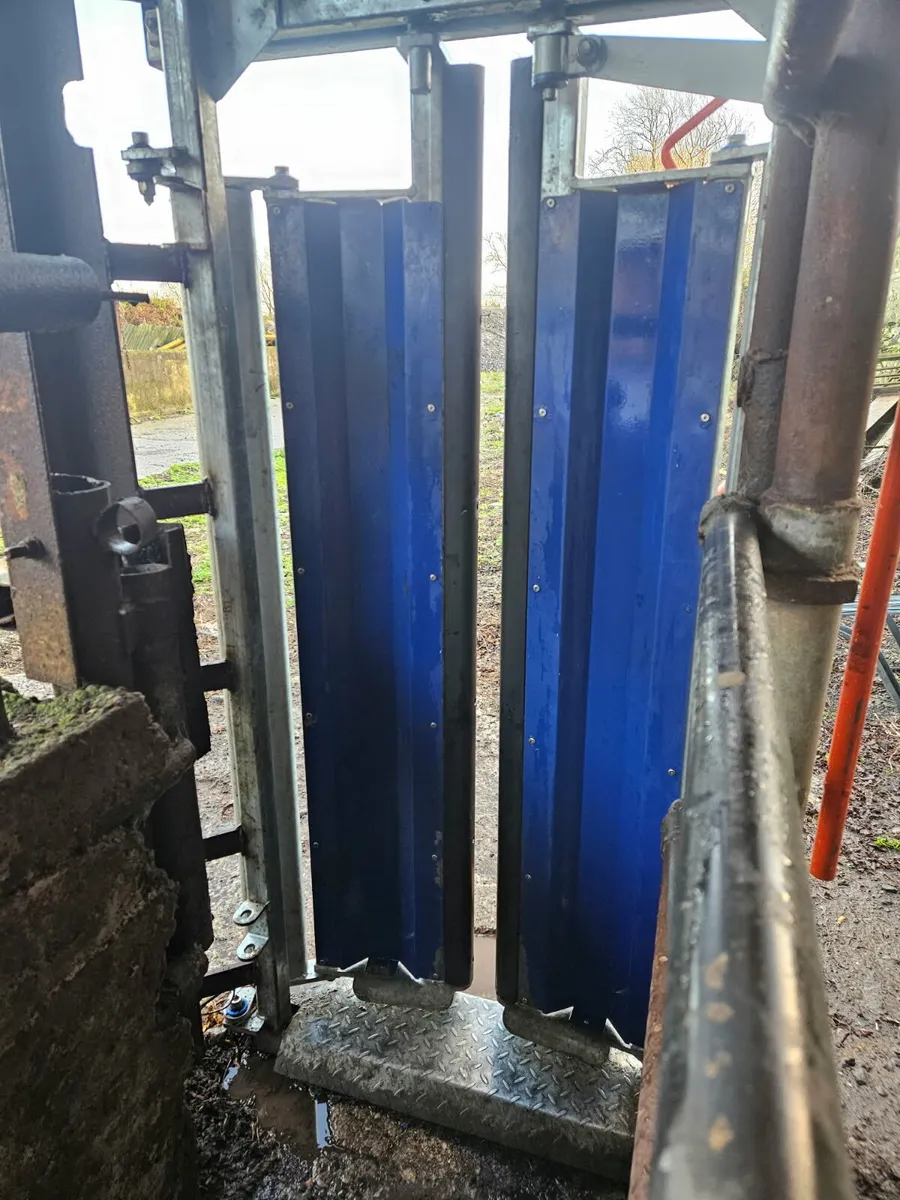 Yard clear out - Image 4