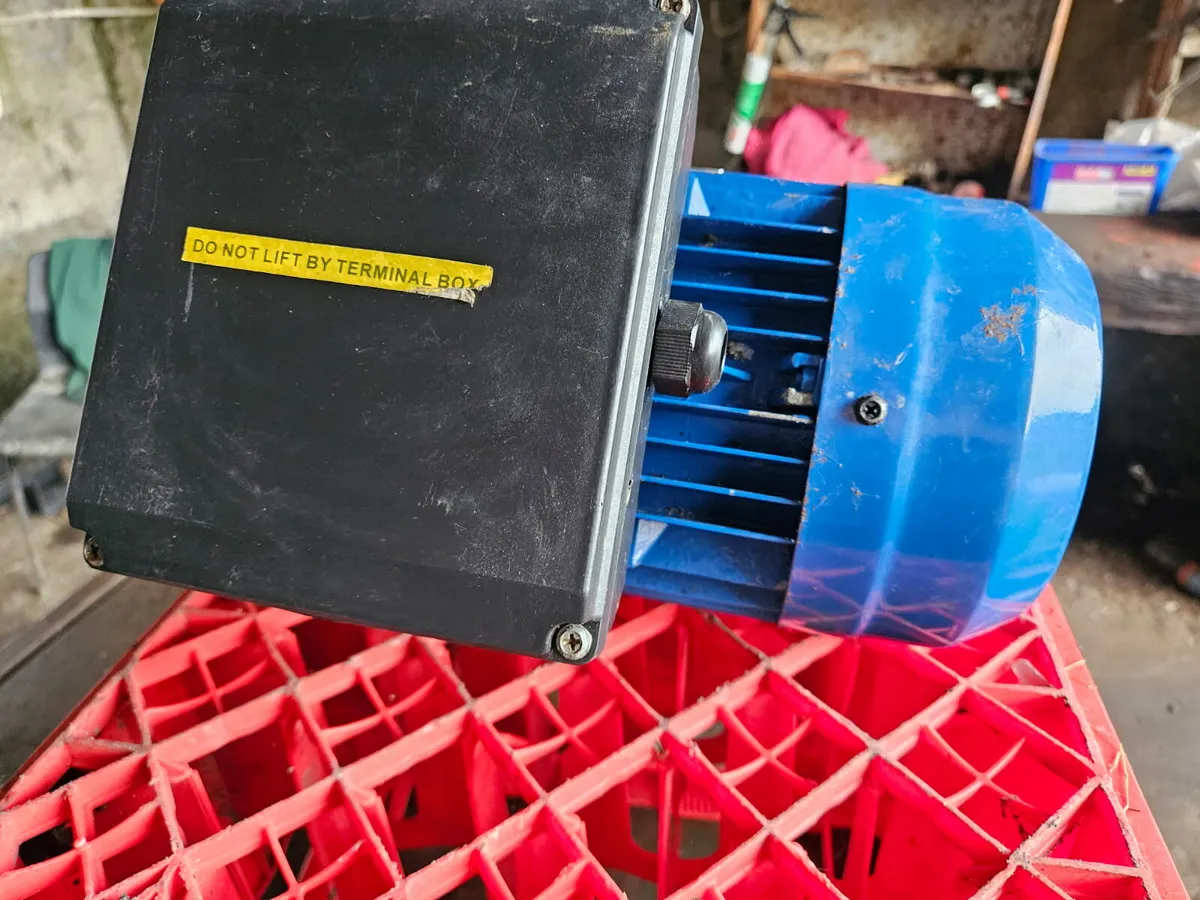 Yard clear out - Image 3