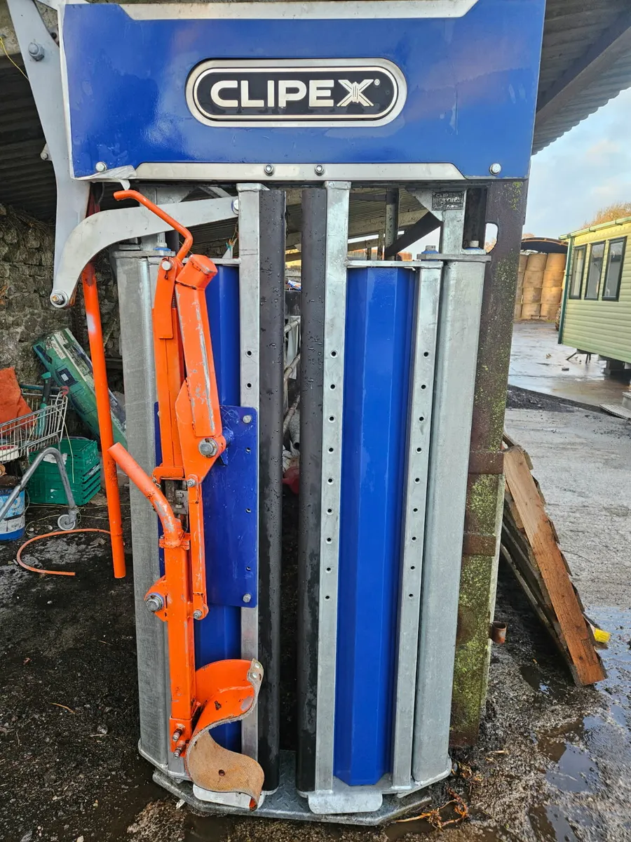 Yard clear out - Image 1