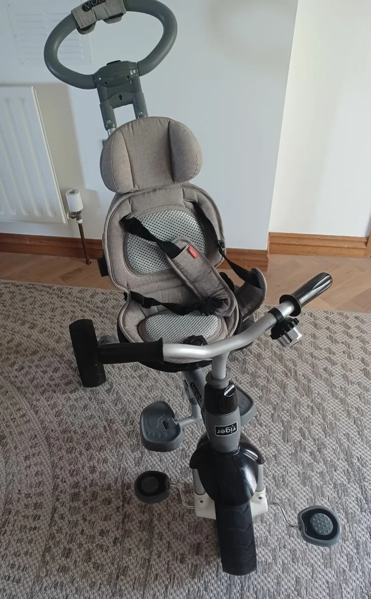 Children's Trike - Image 2