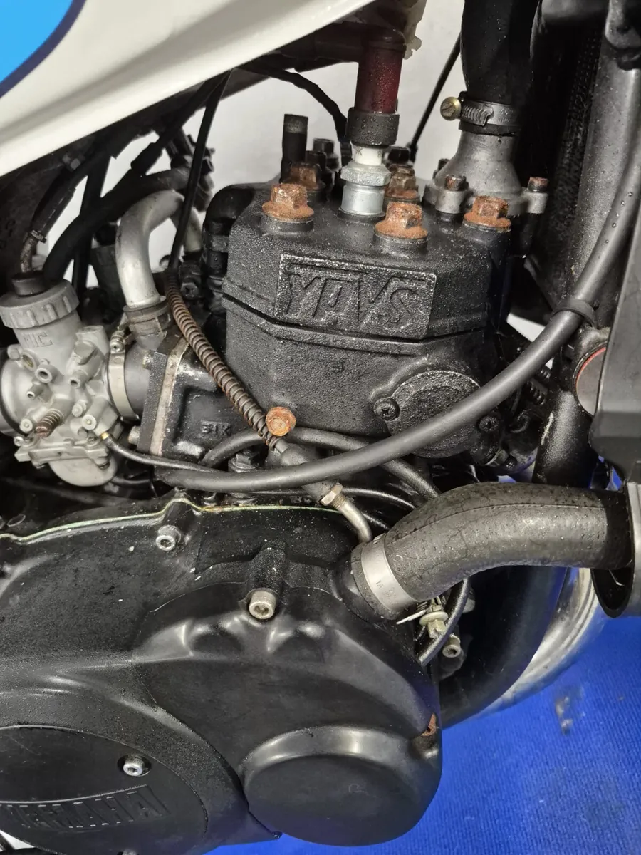 RD 350's for sale - Image 2