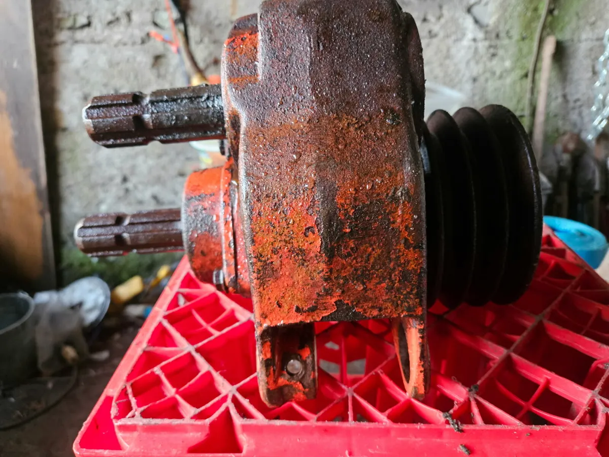 Yard clear out - Image 4