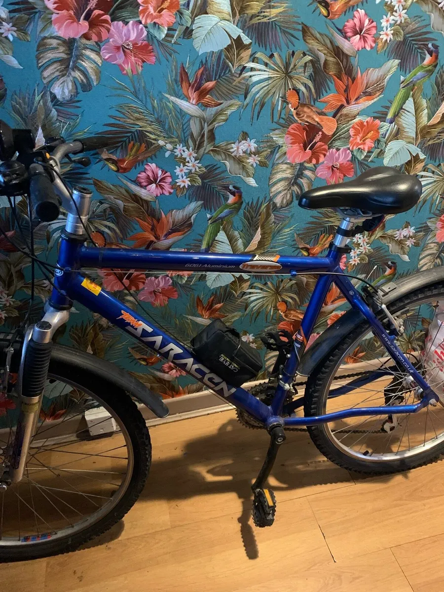 21 speed  bicycle - Image 1