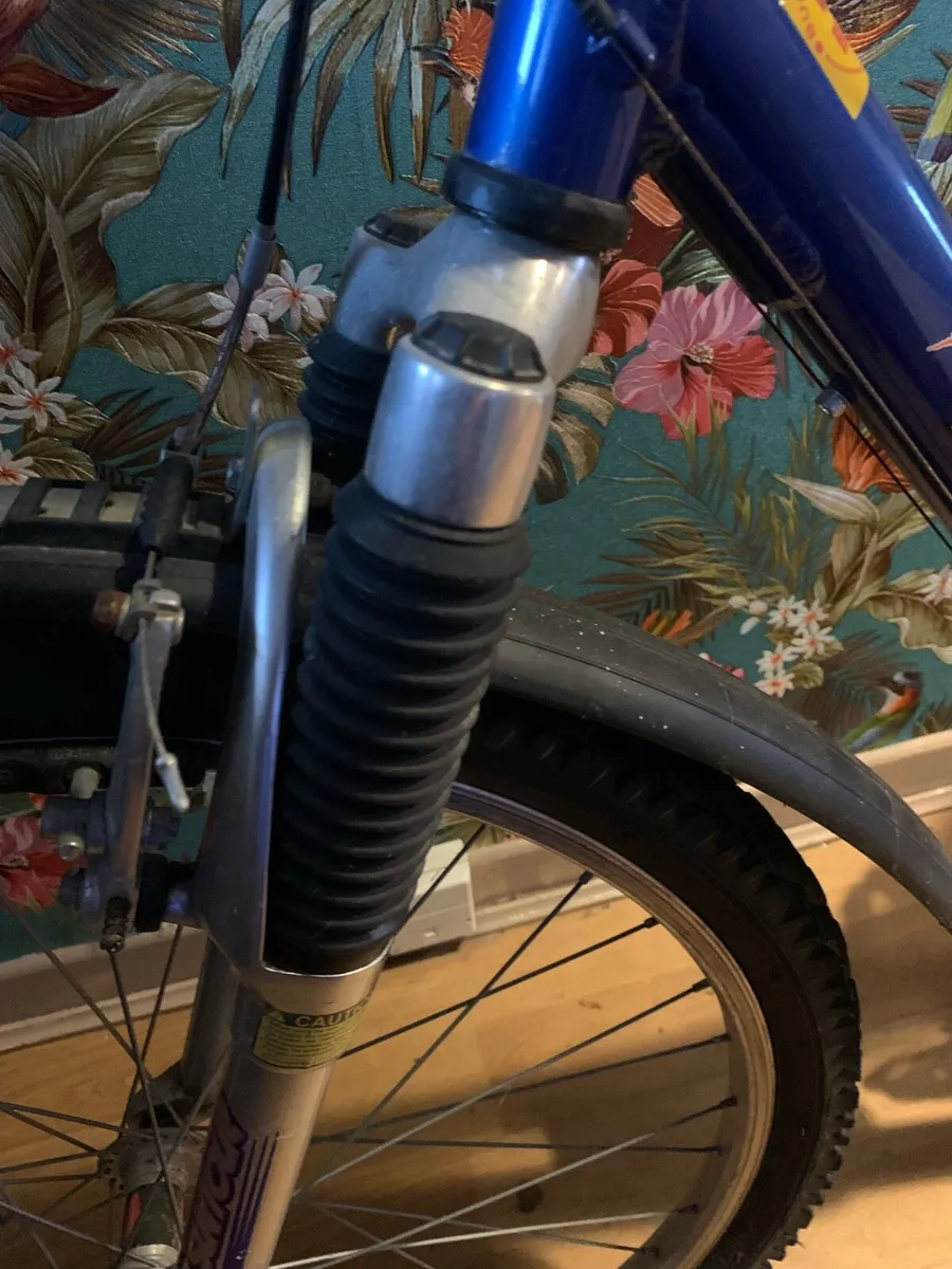 21 speed  bicycle - Image 4