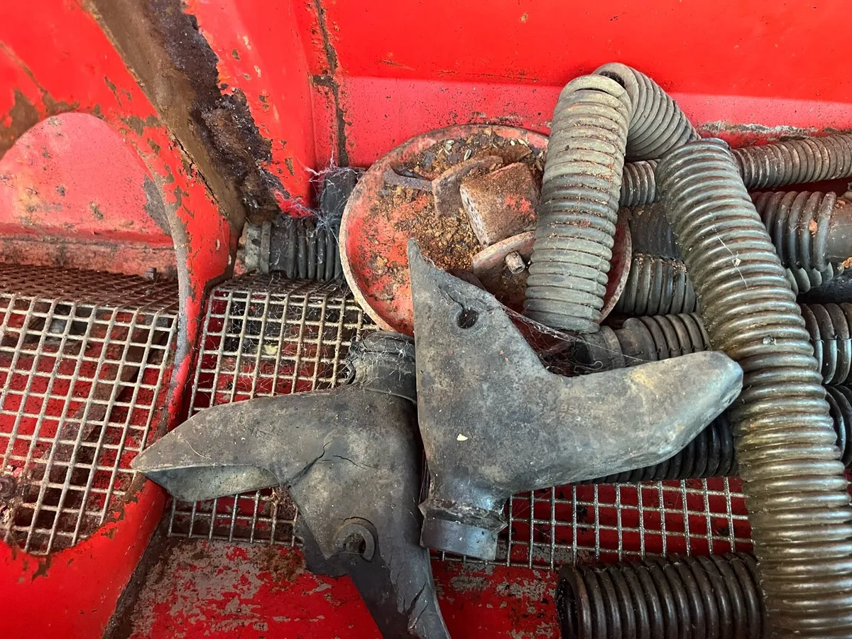 Massey Corn Drill - Image 4