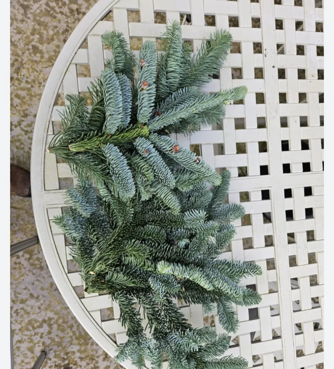 Bags of foliage - Image 1