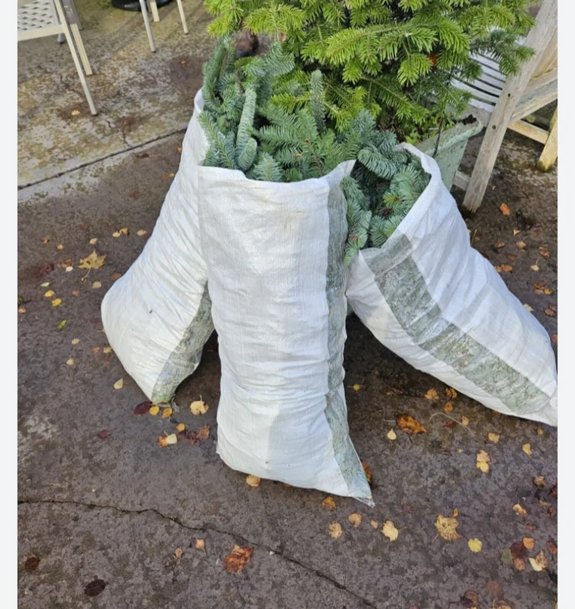 Bags of foliage - Image 2