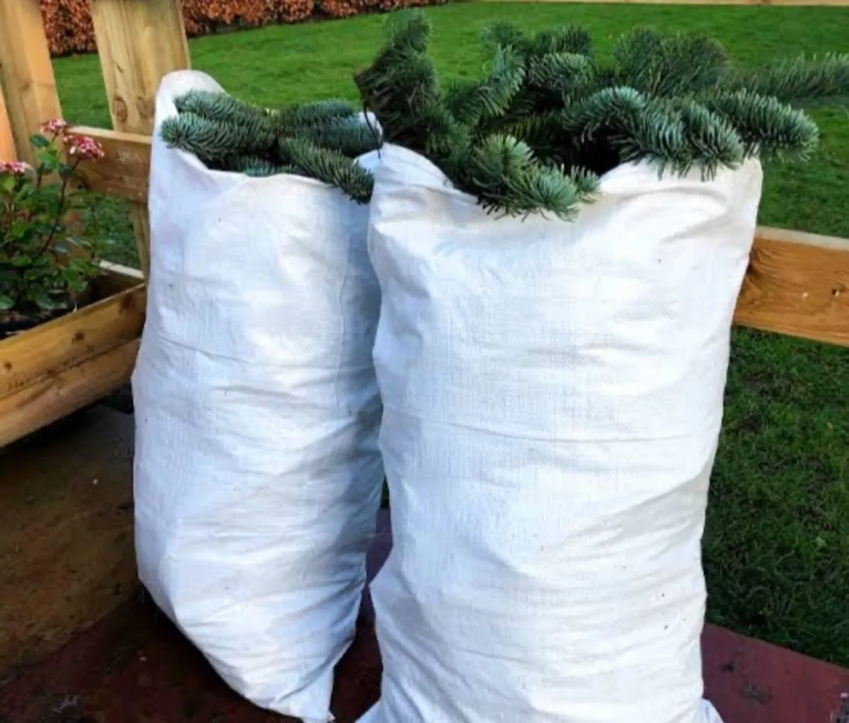 Bags of foliage - Image 3