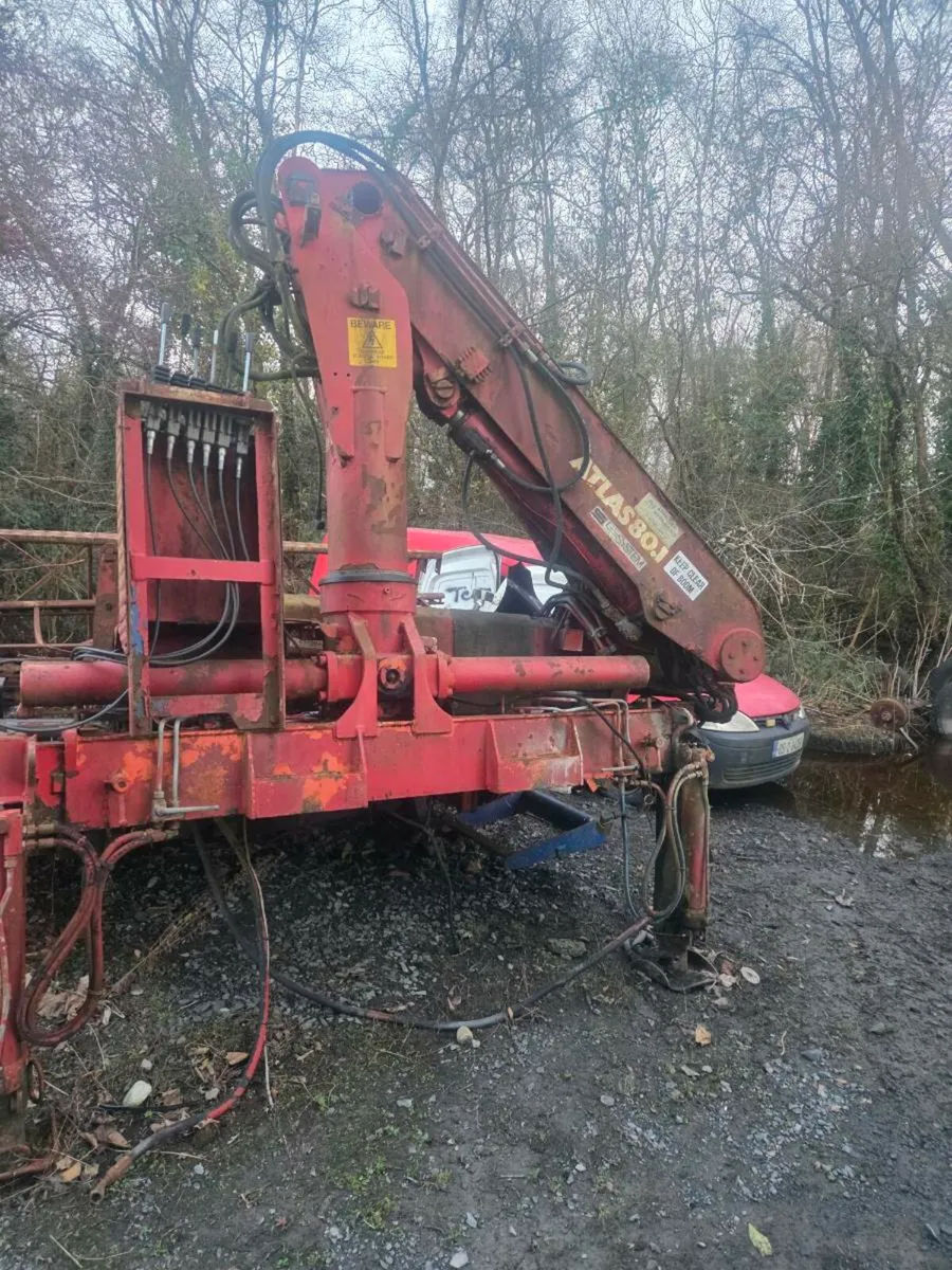 Atlas crane - Image 1