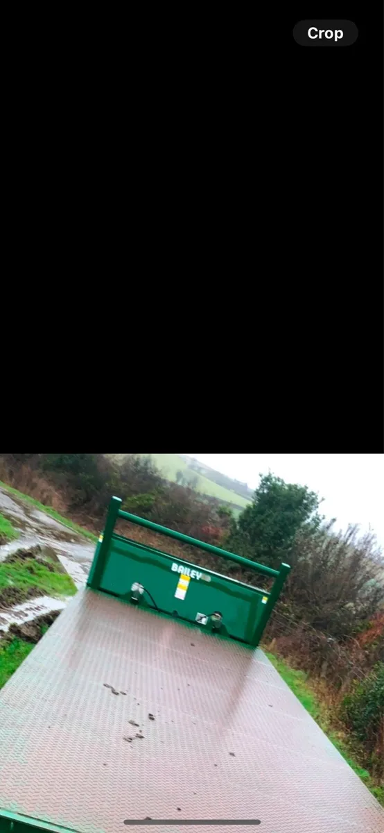 Bailey Flat trailer - Image 3