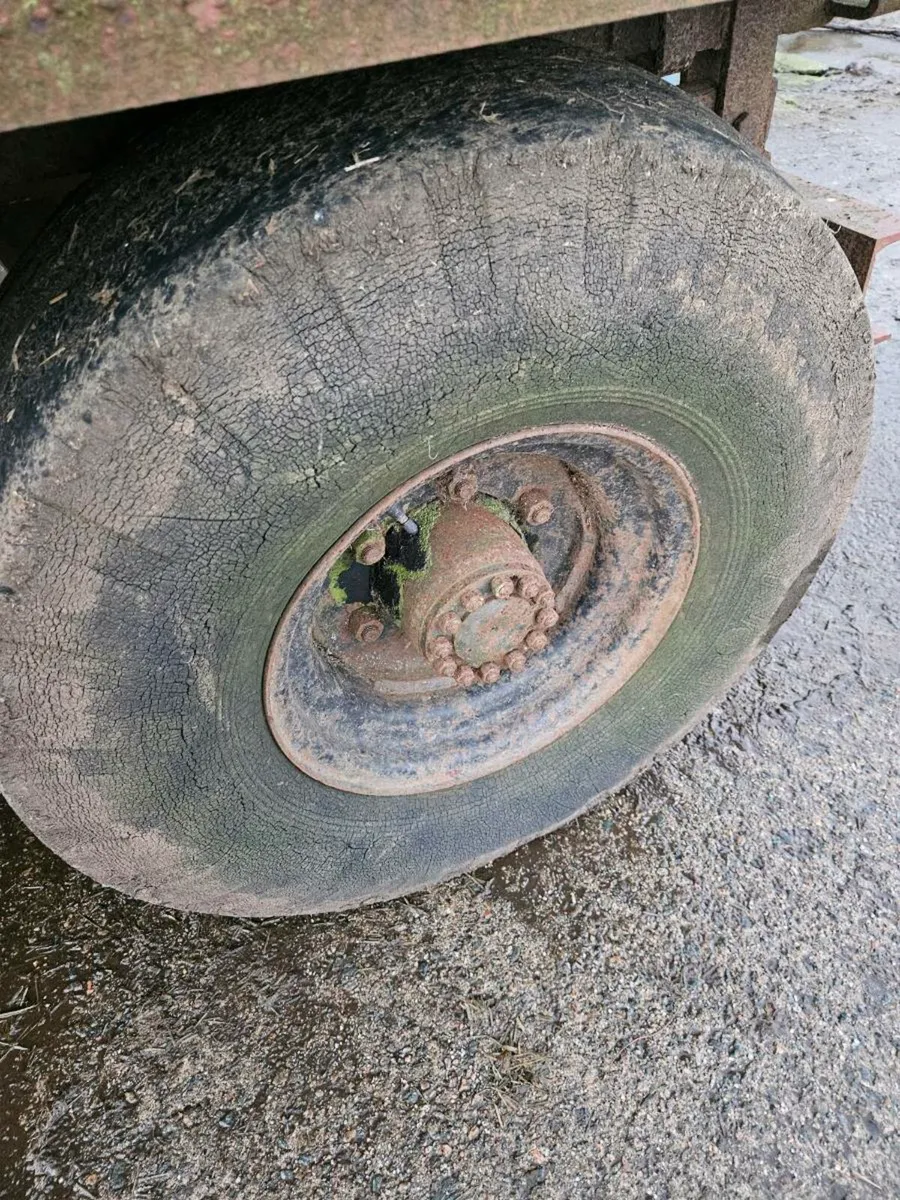 Tipping trailer - Image 4