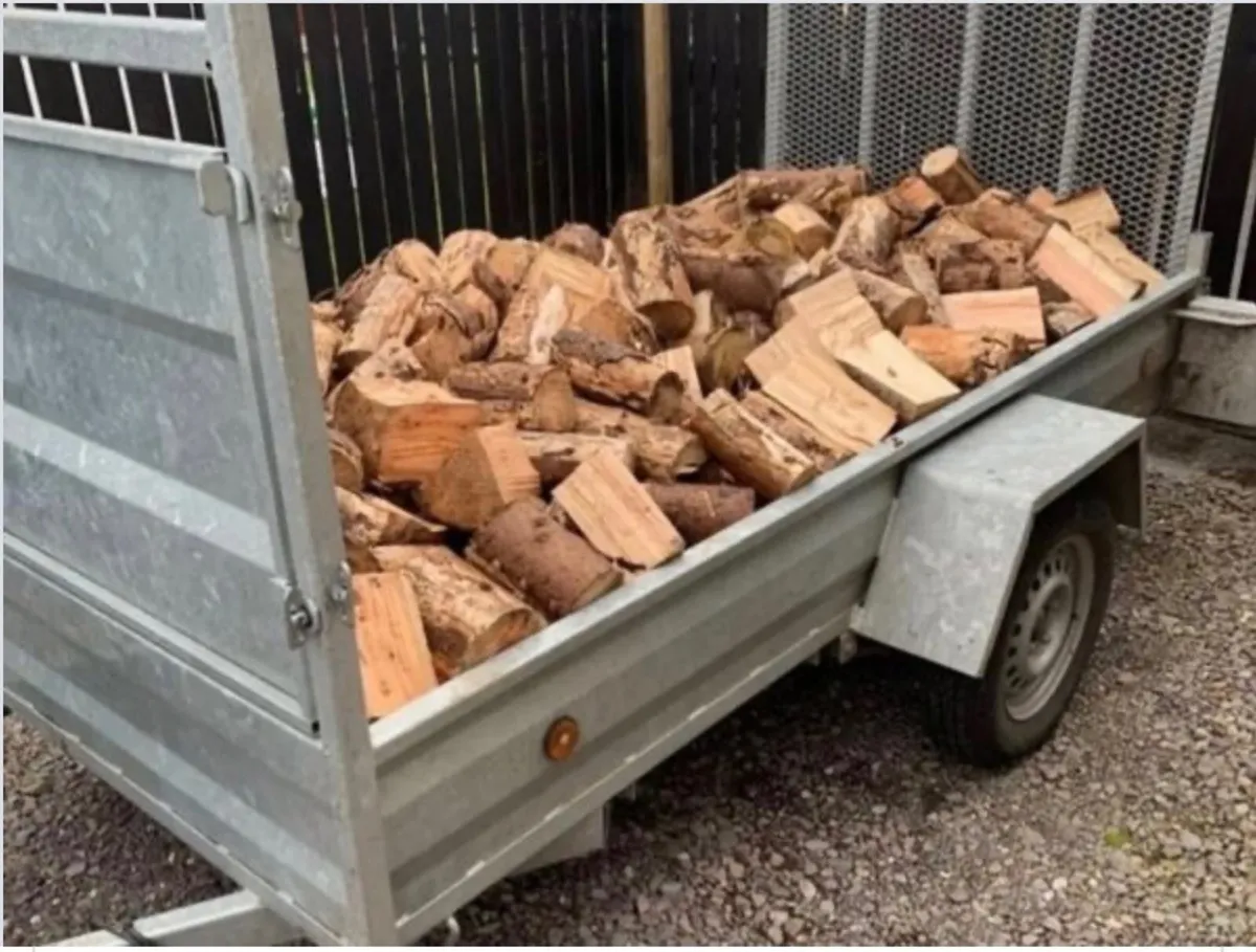 Firewood Timber - Image 2