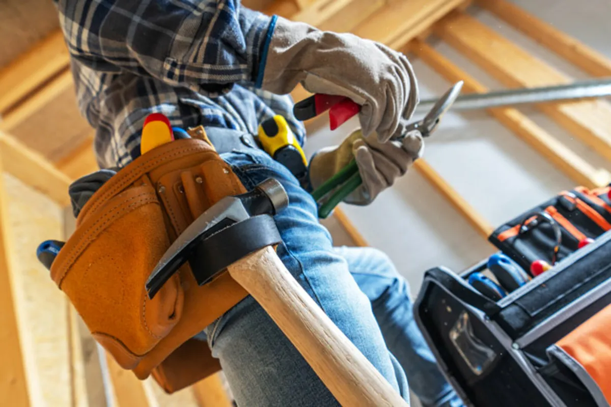 Removal and maintenance service - Image 1