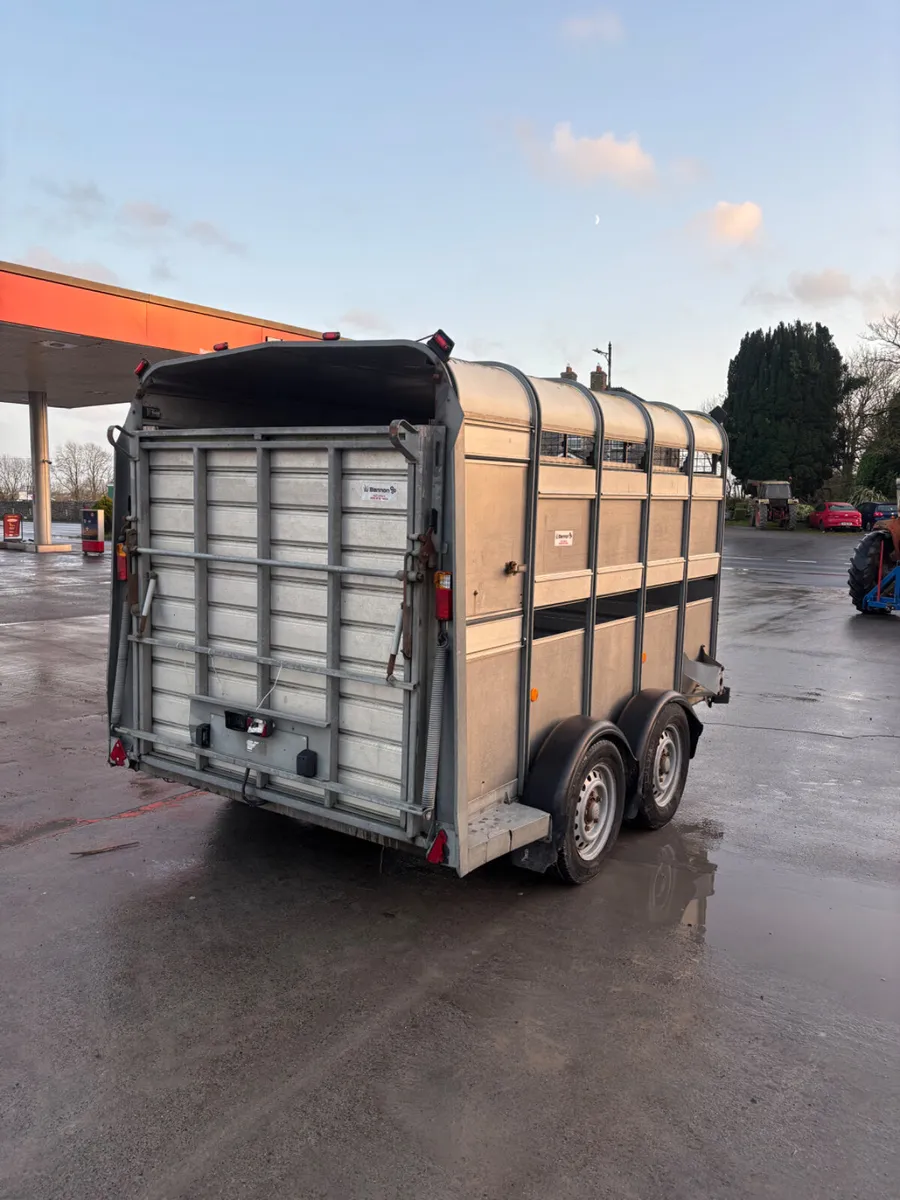 ifor williams ta510 10ft with sheep decks - Image 3