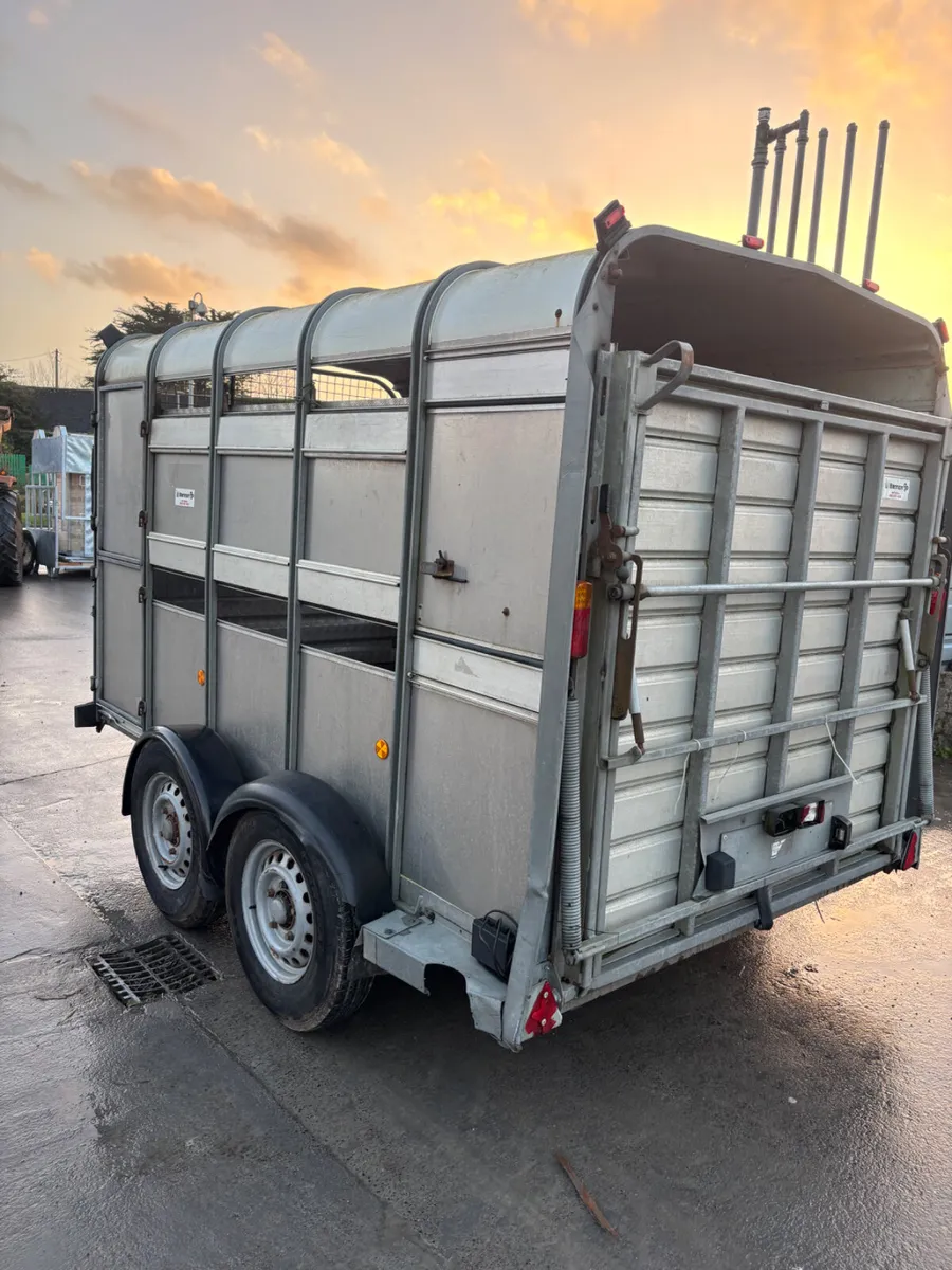 ifor williams ta510 10ft with sheep decks - Image 4