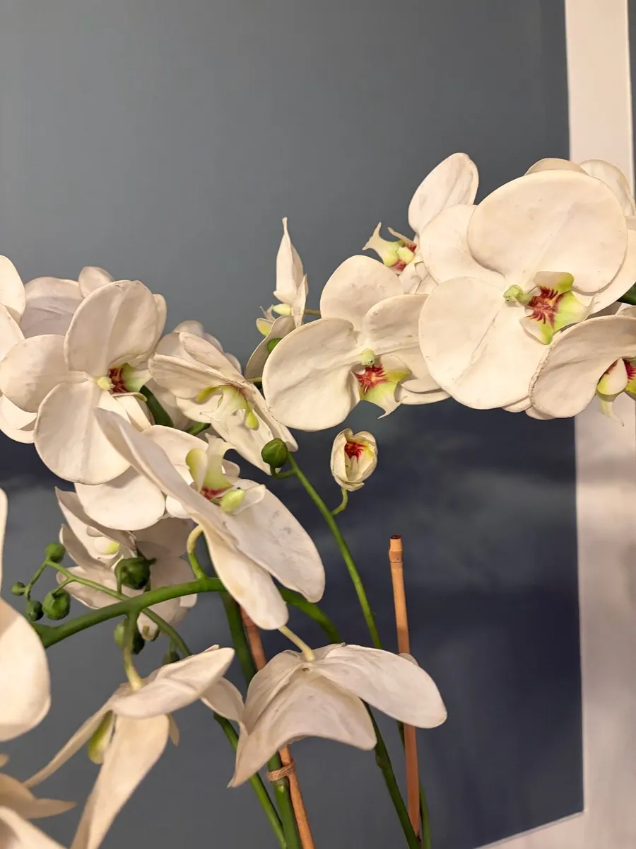 6ft Artificial Orchid Plant - Image 3