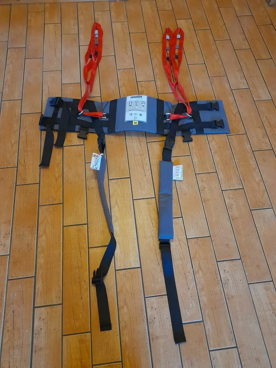 Ambulating sling - Image 1