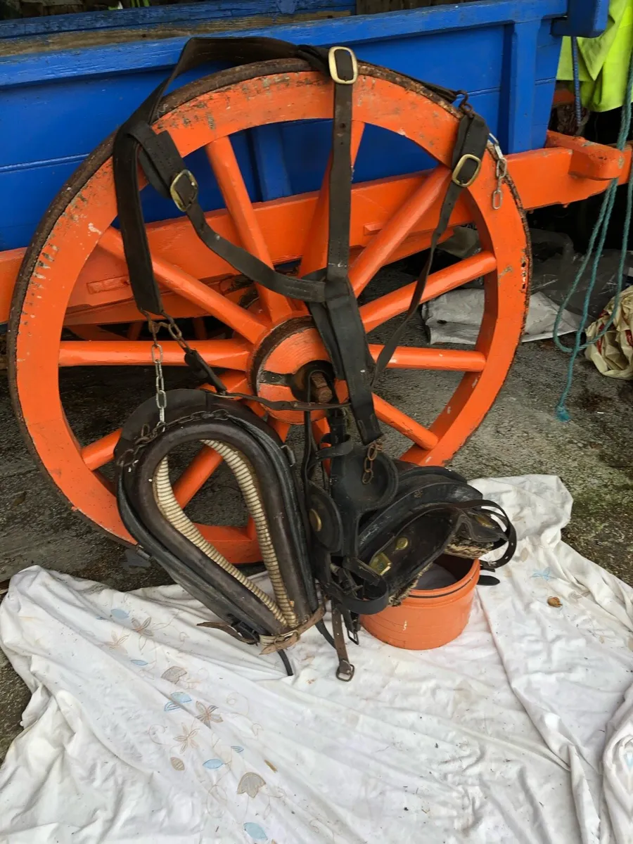 Driving Equipment - Image 3