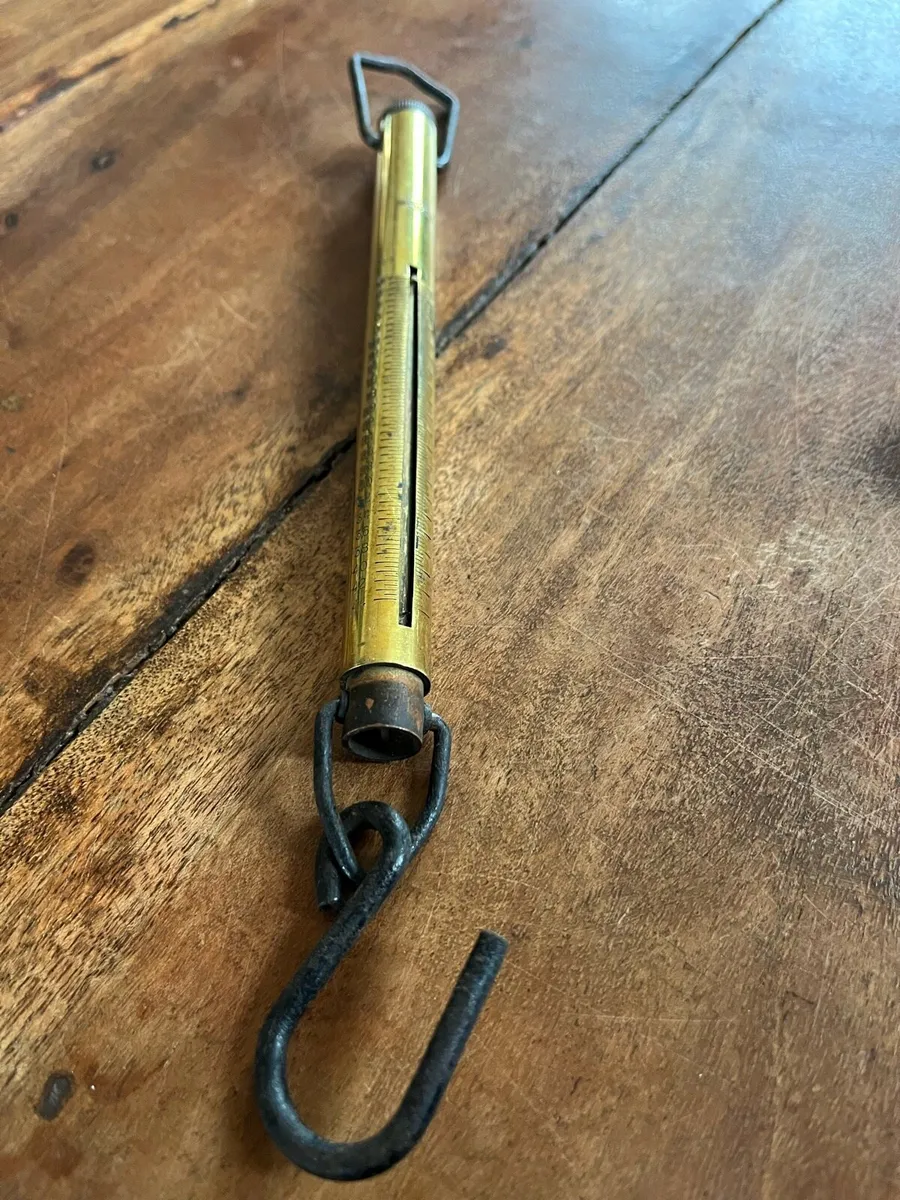 Salter Hanging Scales - Image 1
