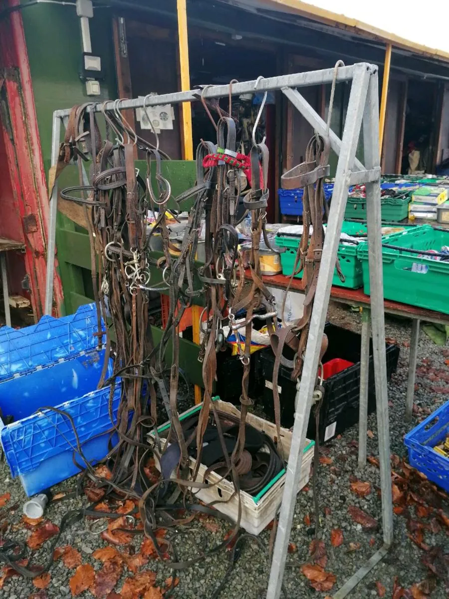 Fantastic Bargains for everyone - Image 1