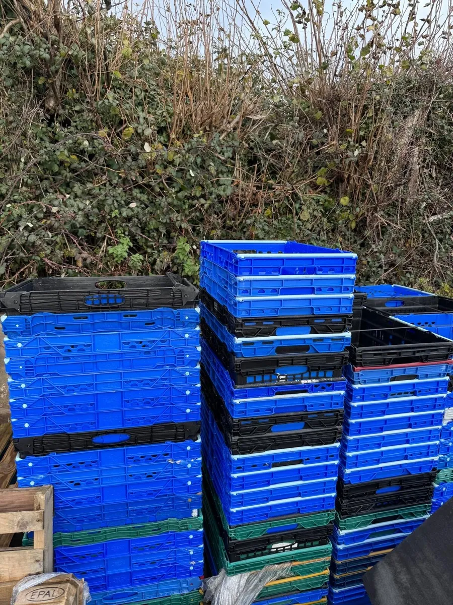 Plastic crates - Image 2