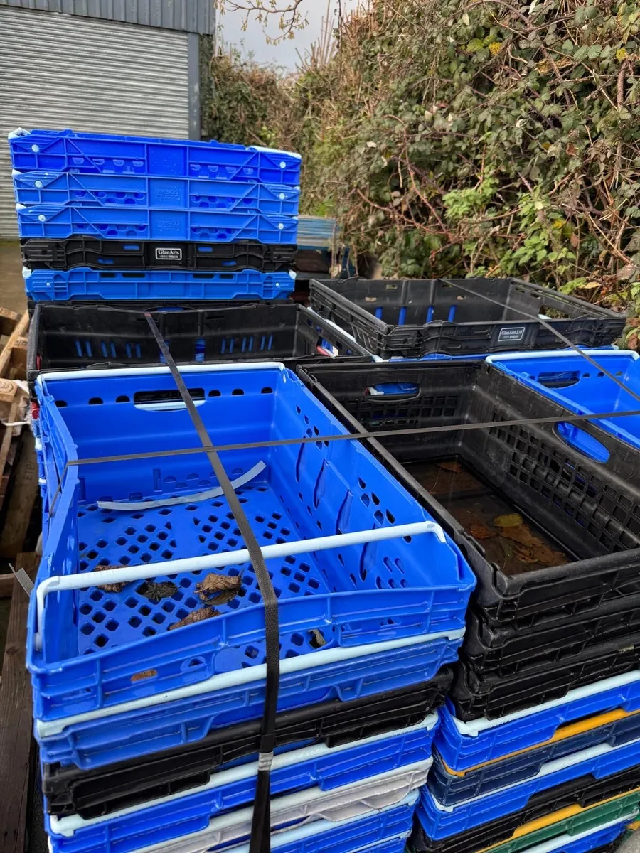 Plastic crates - Image 3