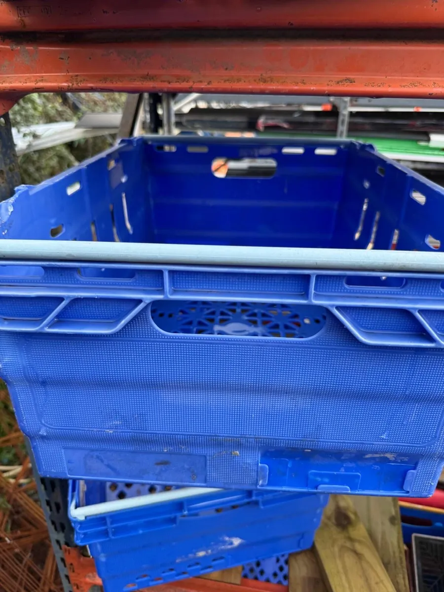 Plastic crates - Image 4