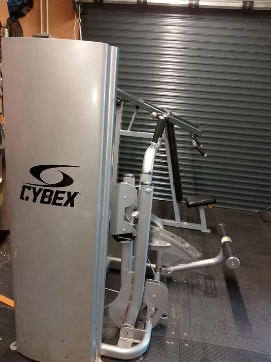 Cybex core strength abdominal/back extension cable machine gym - Image 4
