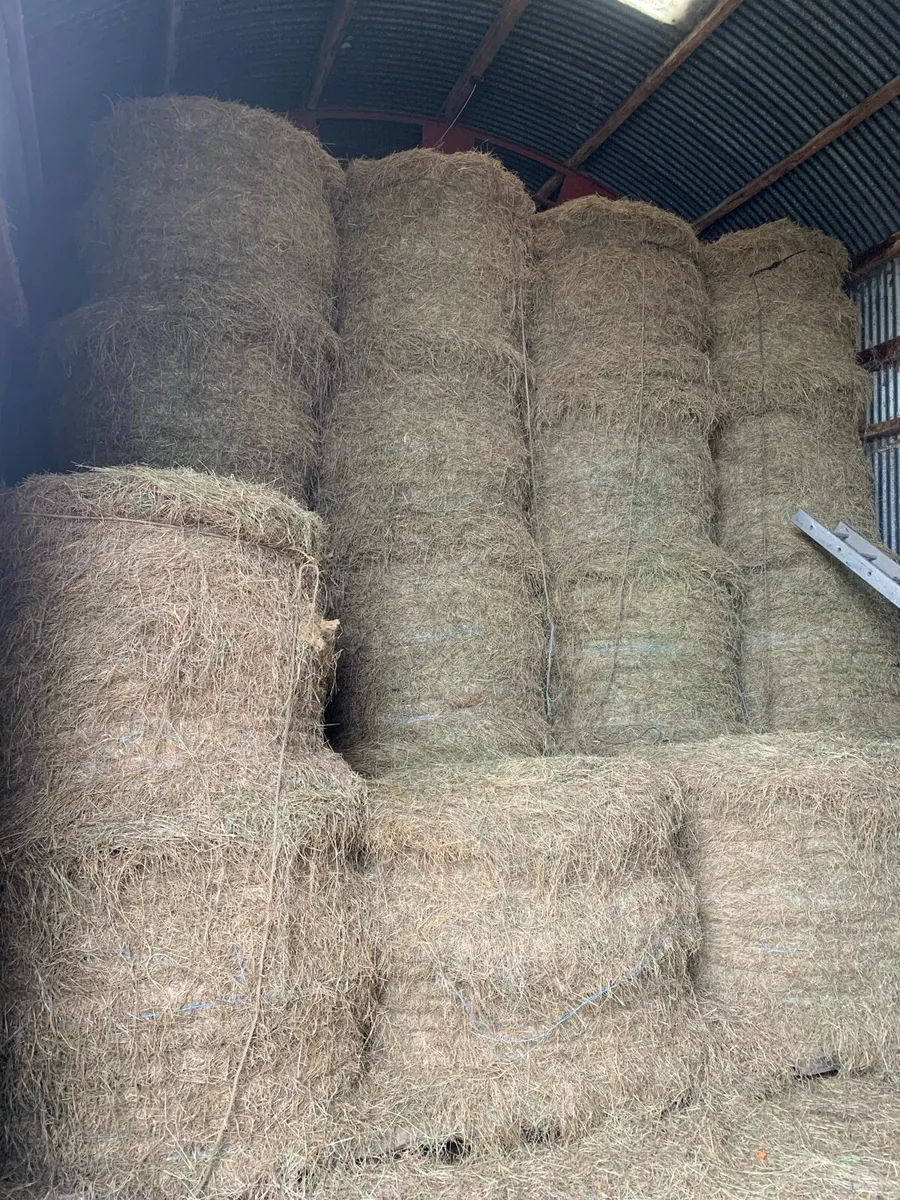 Round & Square Bales of Hay - Image 1