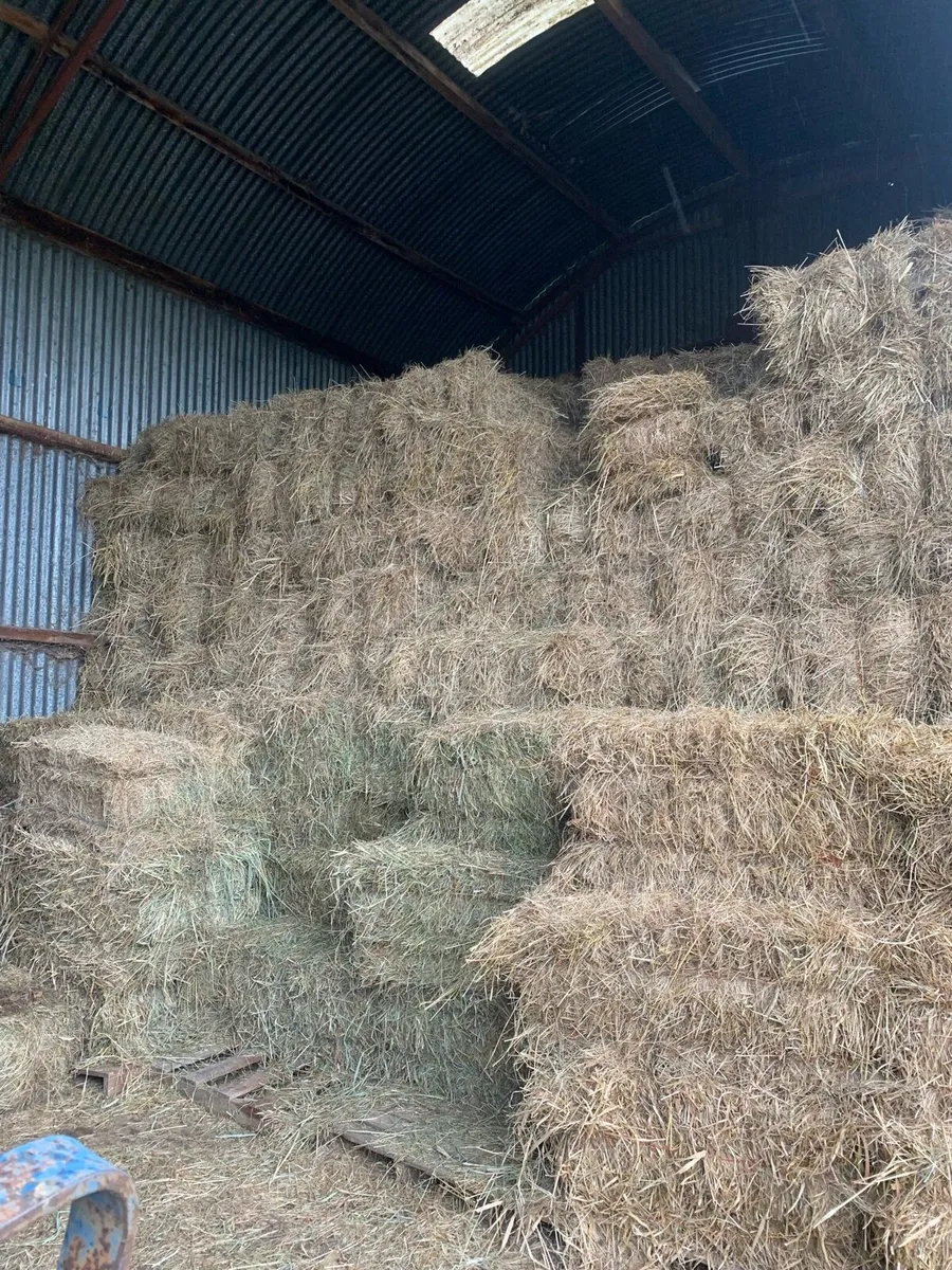 Round & Square Bales of Hay - Image 2