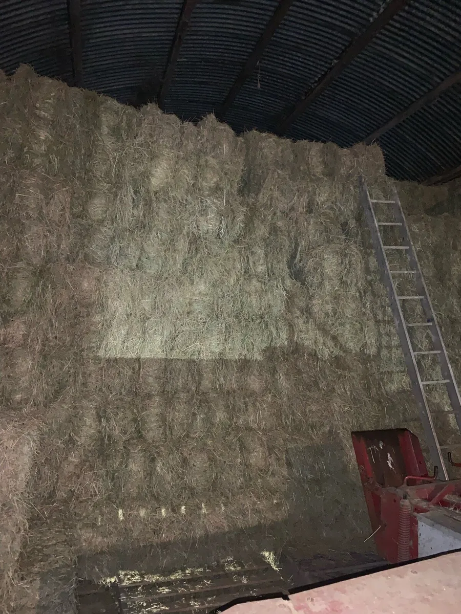 Round & Square Bales of Hay - Image 4