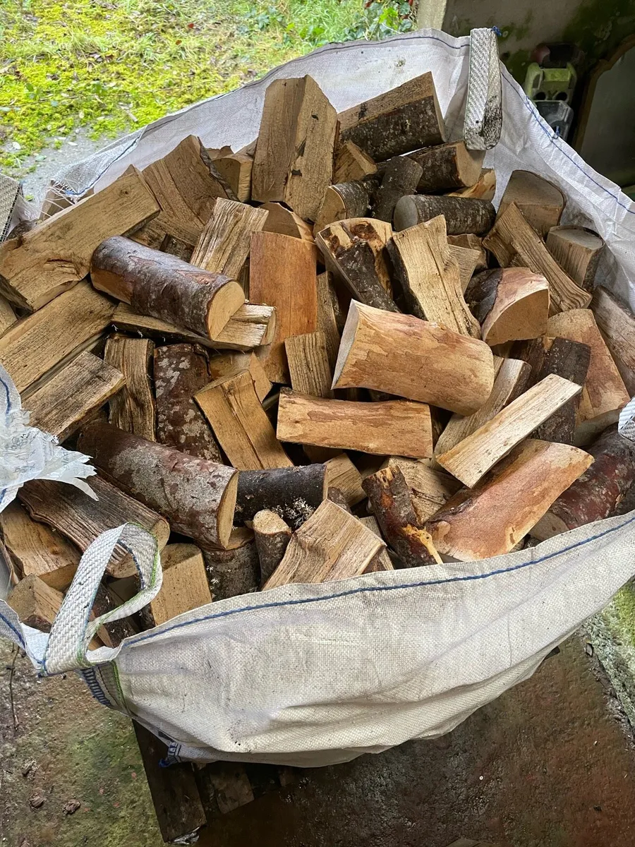 Firewood - Image 2
