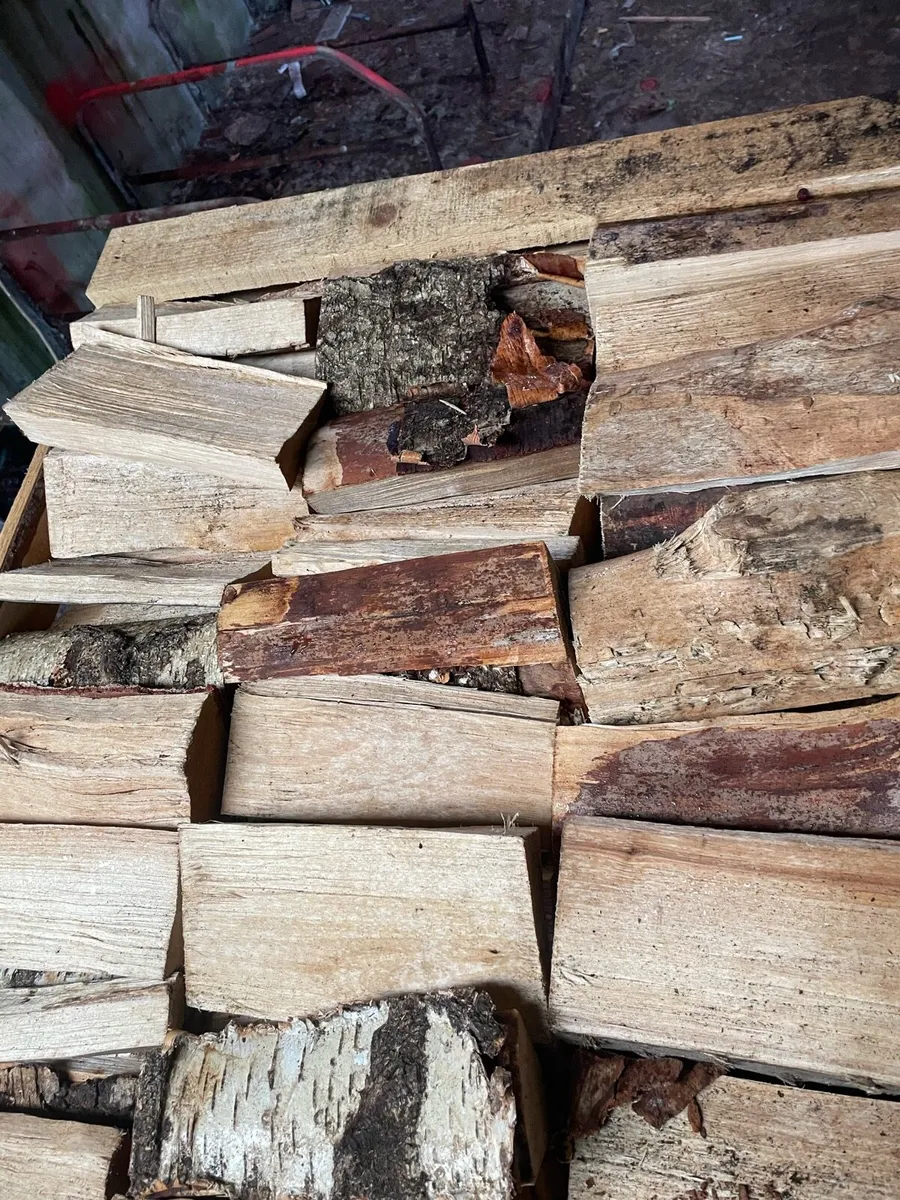 Firewood - Image 3