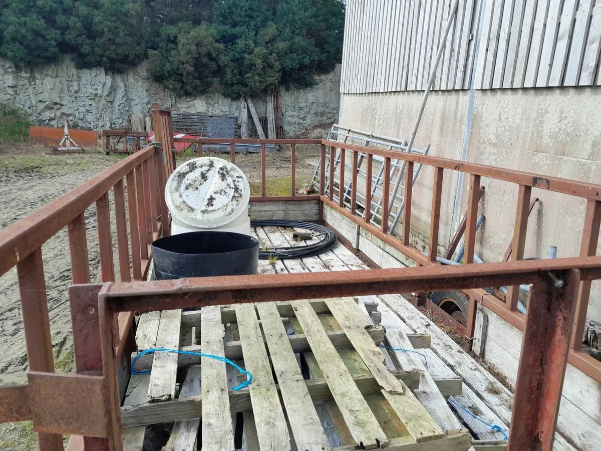 Cattle or Sheep Feed Trailer - Image 4