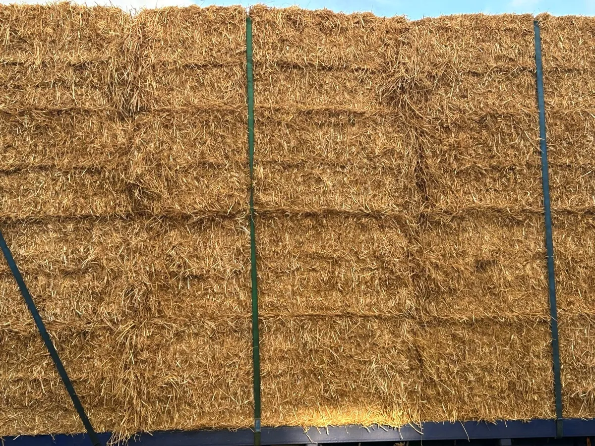 Barley and Wheat straw