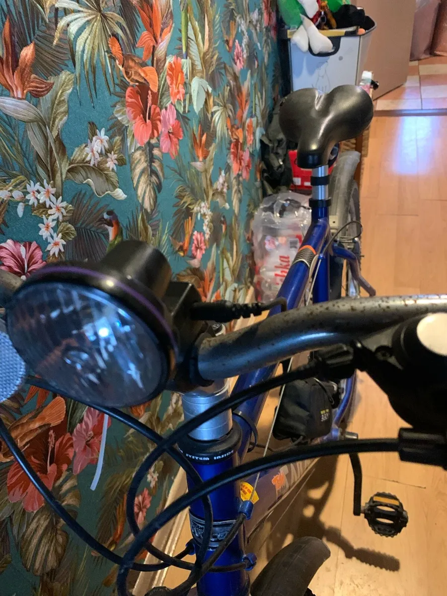 21 speed bicycle - Image 3