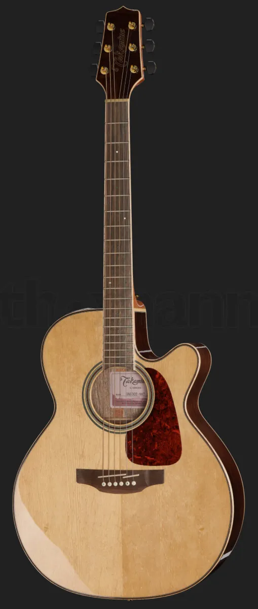 Takamine G-Series