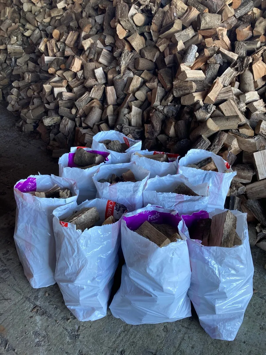 Firewood - Image 1