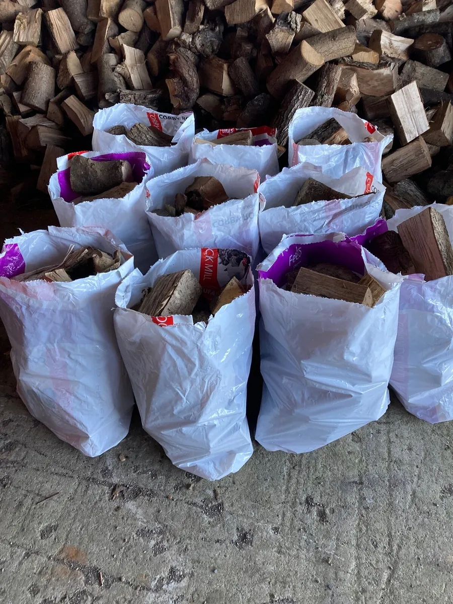Firewood - Image 2