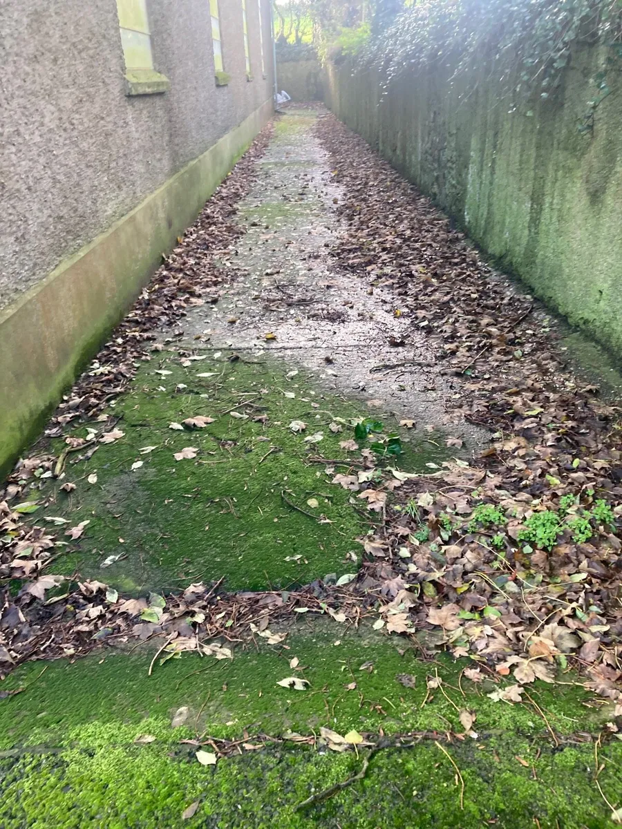 Gardening Maintenance - Image 4