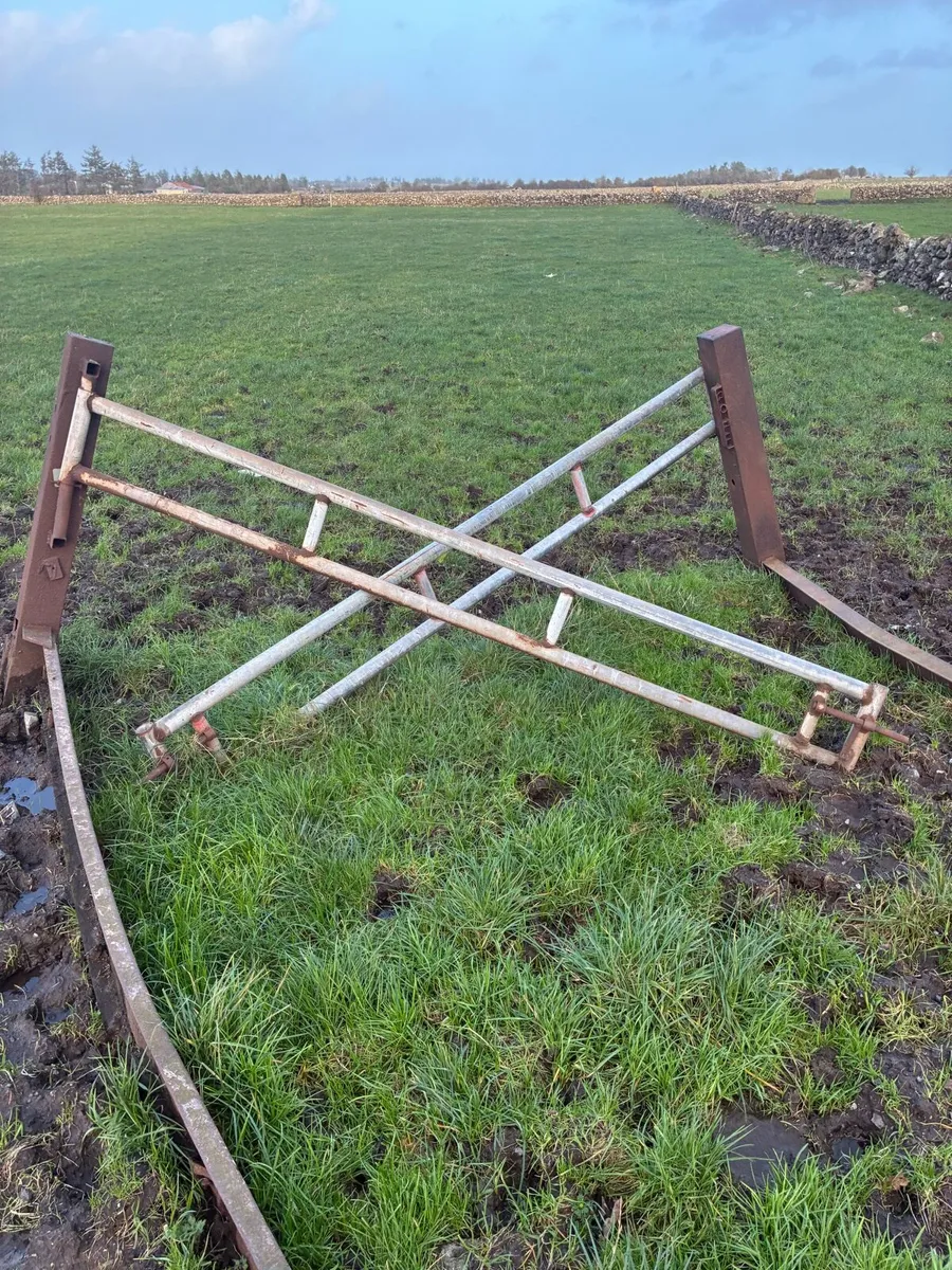 Feeding barriers - Image 1