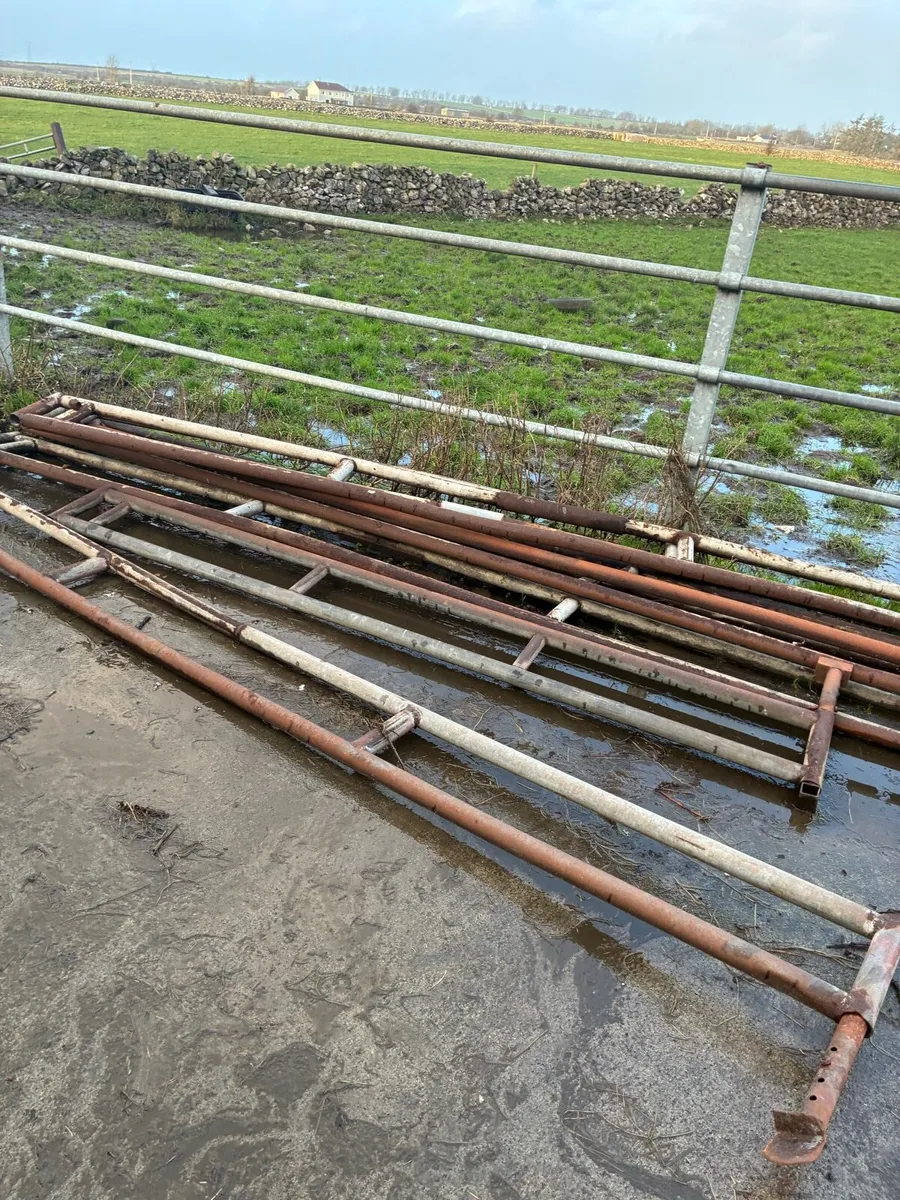 Feeding barriers - Image 2