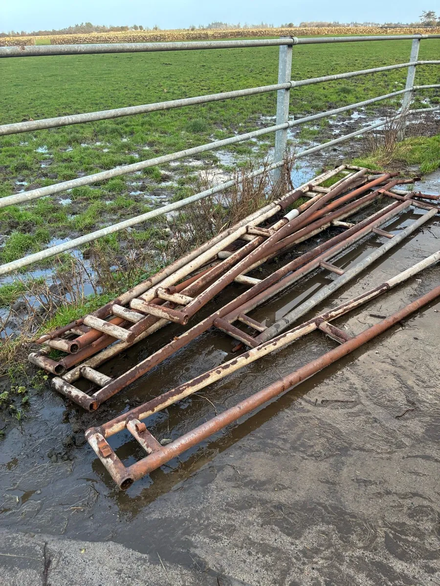 Feeding barriers - Image 3