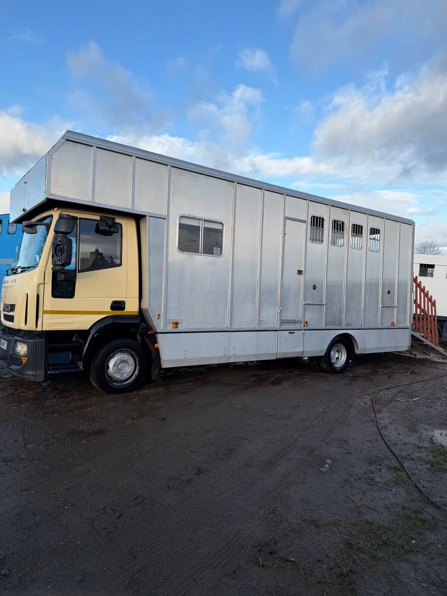 Tri star horsebox - Image 1