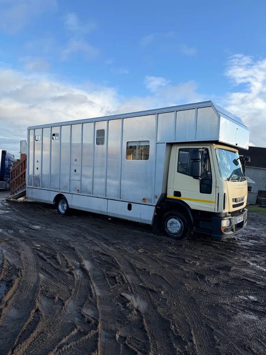 Tri star horsebox - Image 2